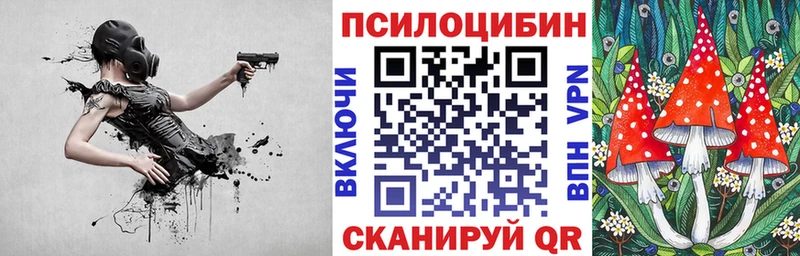 Псилоцибиновые грибы Psilocybine cubensis  как найти закладки  Александров 